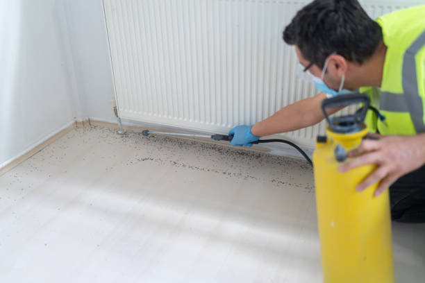 Best Wasp Removal Services  in Telluride, CO